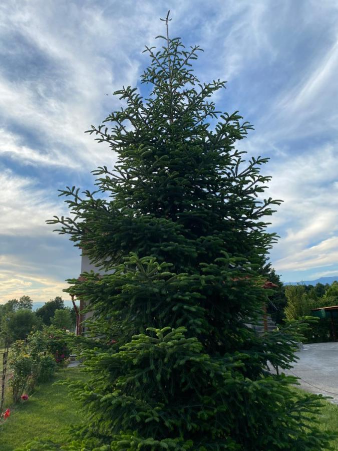 Guesthouse Anestis Ángistron Dış mekan fotoğraf
