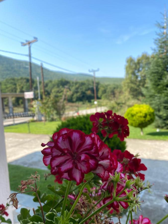 Guesthouse Anestis Ángistron Dış mekan fotoğraf